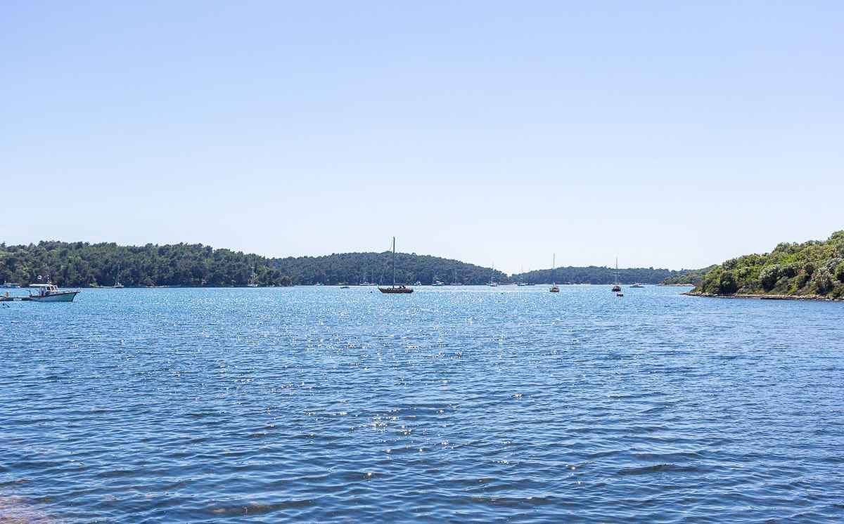 Ganze Ferienwohnung, Ferienwohnung mit schönem Garten zur gemeinsamen Nutzung  in Vinkuran, Südküste Istrien