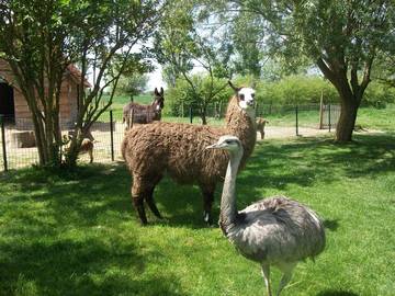 Gîte pour 8 Personnes dans Brouckerque, Région de Dunkerque, Photo 2