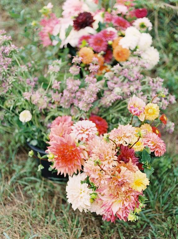 Flower Farm Stay: Wunderschönes Hauptbauernhaus in Lynchburg, Virginia