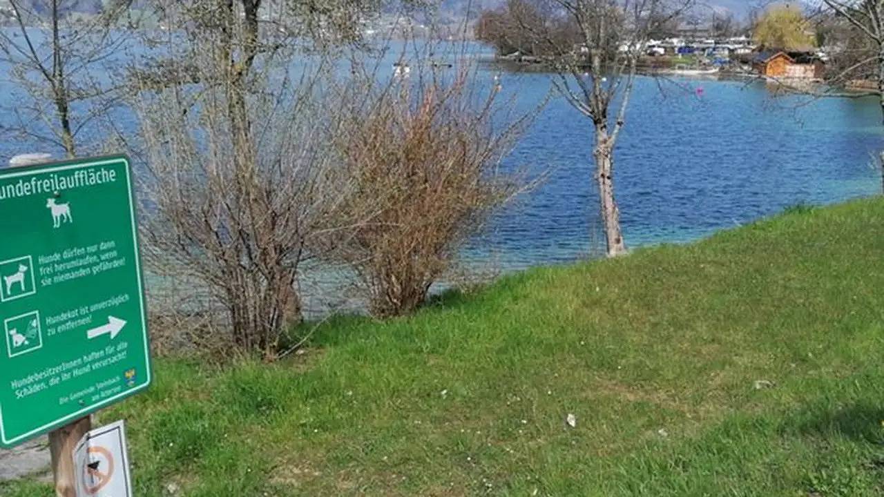 Ganze Ferienwohnung, Ferienwohnung für 3 Personen (35 m²) in Steinbach am Attersee in Seefeld (Oberösterreich), Steinbach am Attersee