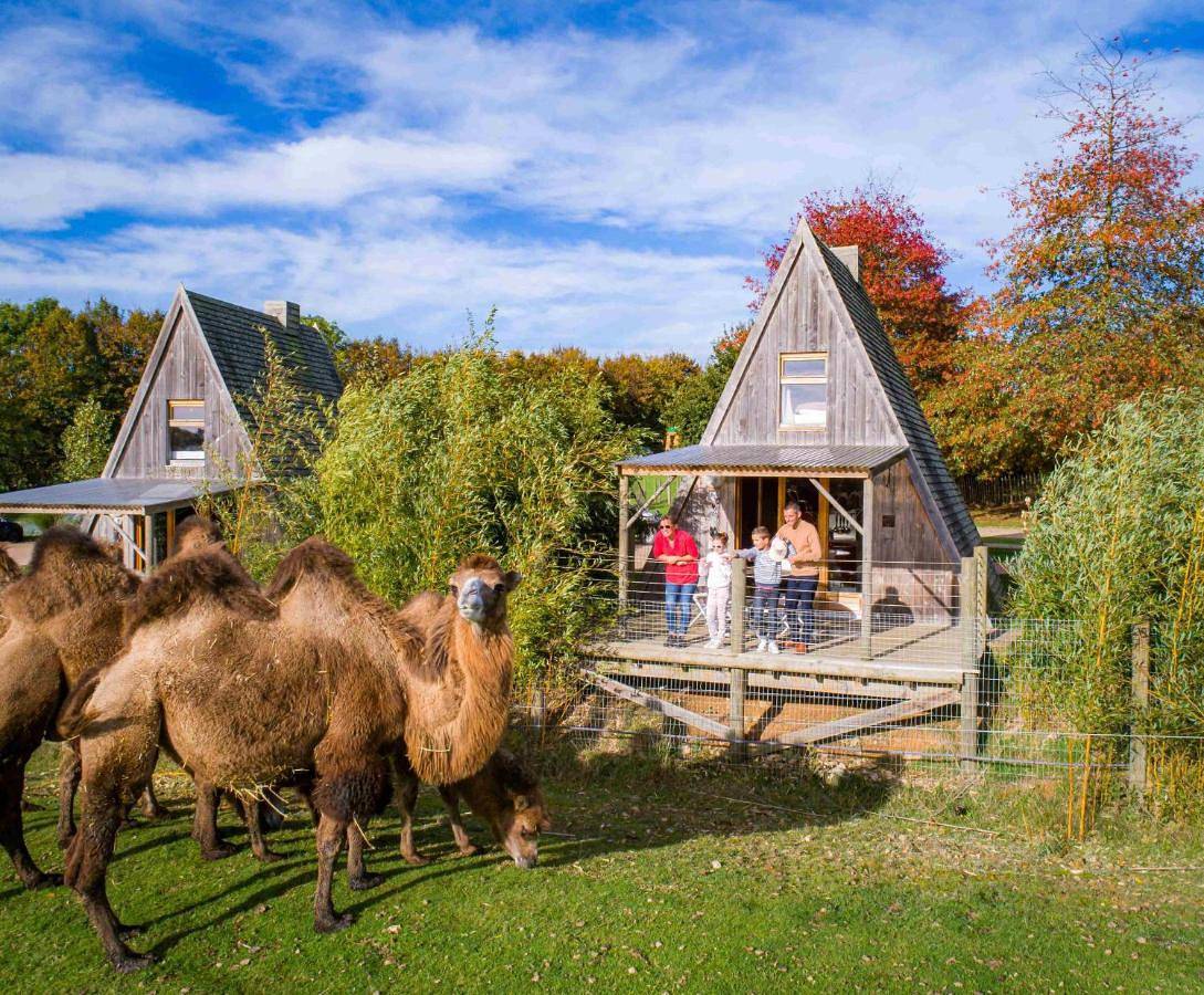 Cerza Safari Lodge in Hermival-les-Vaux, Région de Lisieux