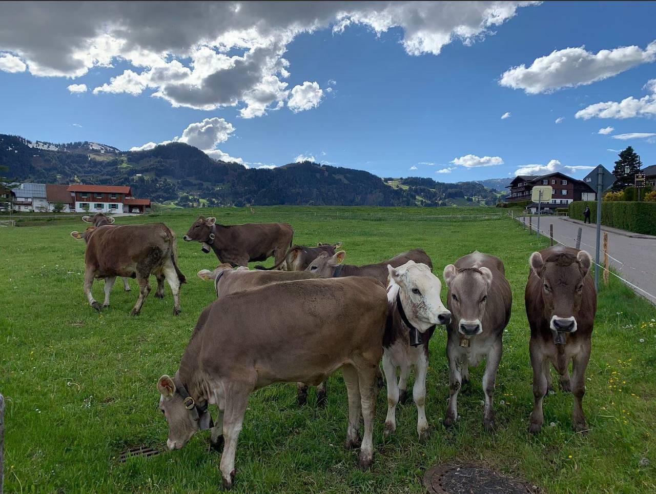 Ganze Ferienwohnung, Alpen Bergblick Allgäu in Ofterschwang, Bayerisch Schwaben