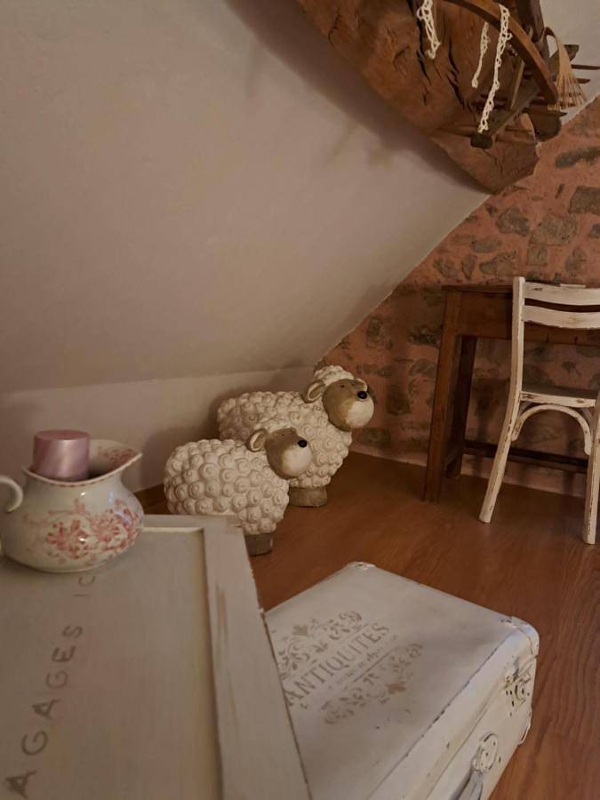 Chambre d’hôte pour 2 personnes, avec vue et jardin, animaux acceptés