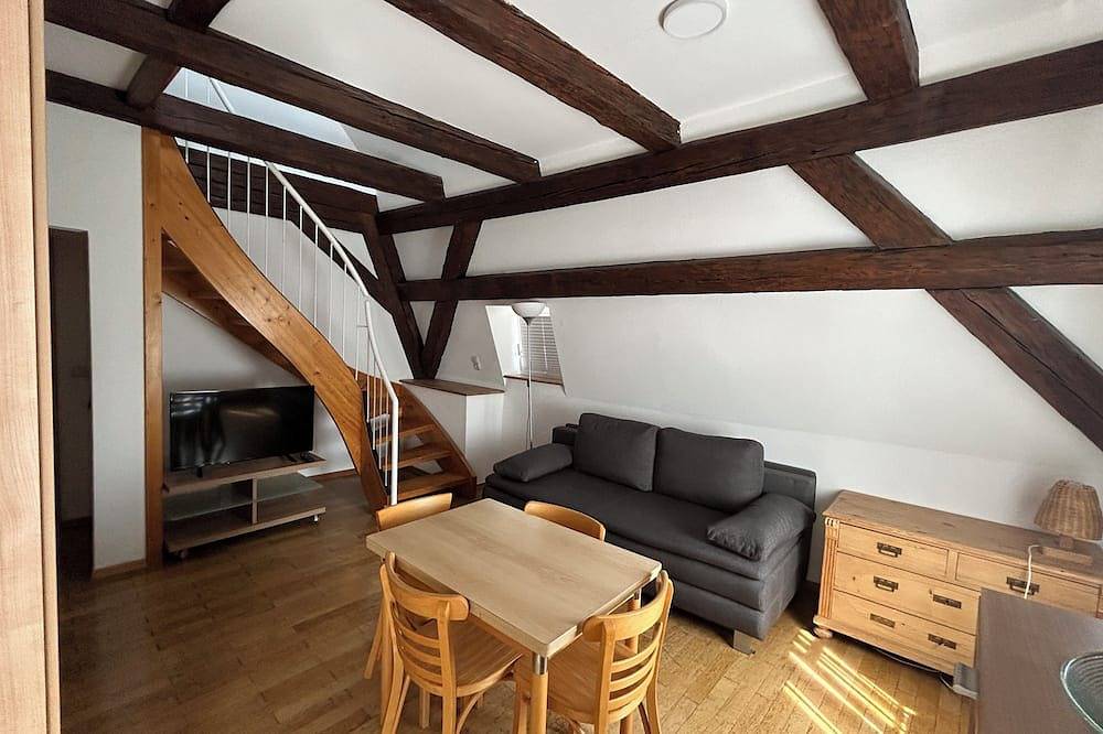 Appartamento intero, Baroque gallery apartment Praetoria - city center location- in Regensburg, Baviera Orientale