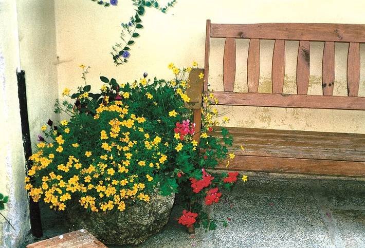 Pension für 2 Personen, mit Garten in Neualbenreuth - 4