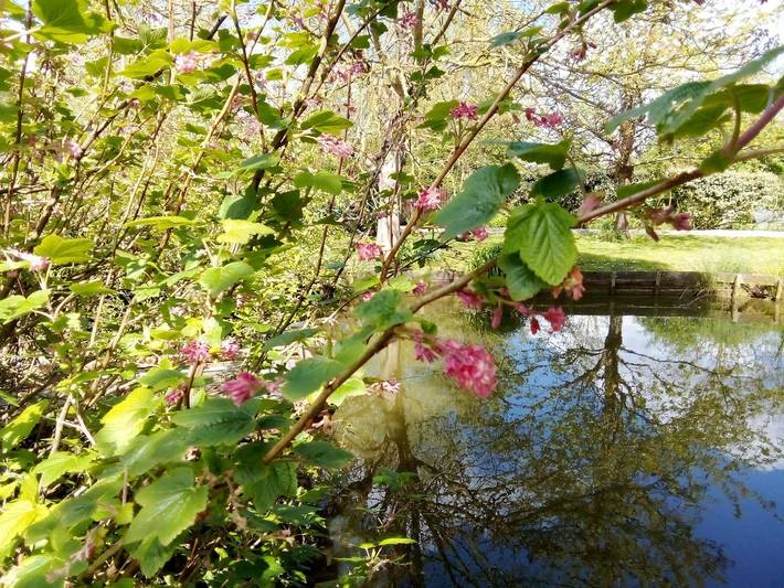 Gîte pour 6 personnes, avec piscine ainsi que jardin et terrasse, animaux acceptés