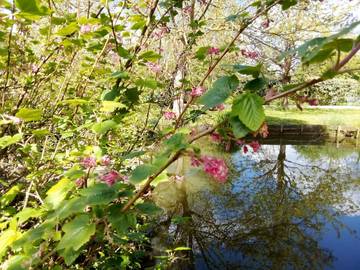Gîte pour 6 personnes, avec terrasse ainsi que piscine et jardin, animaux acceptés à Rue (homonymie)