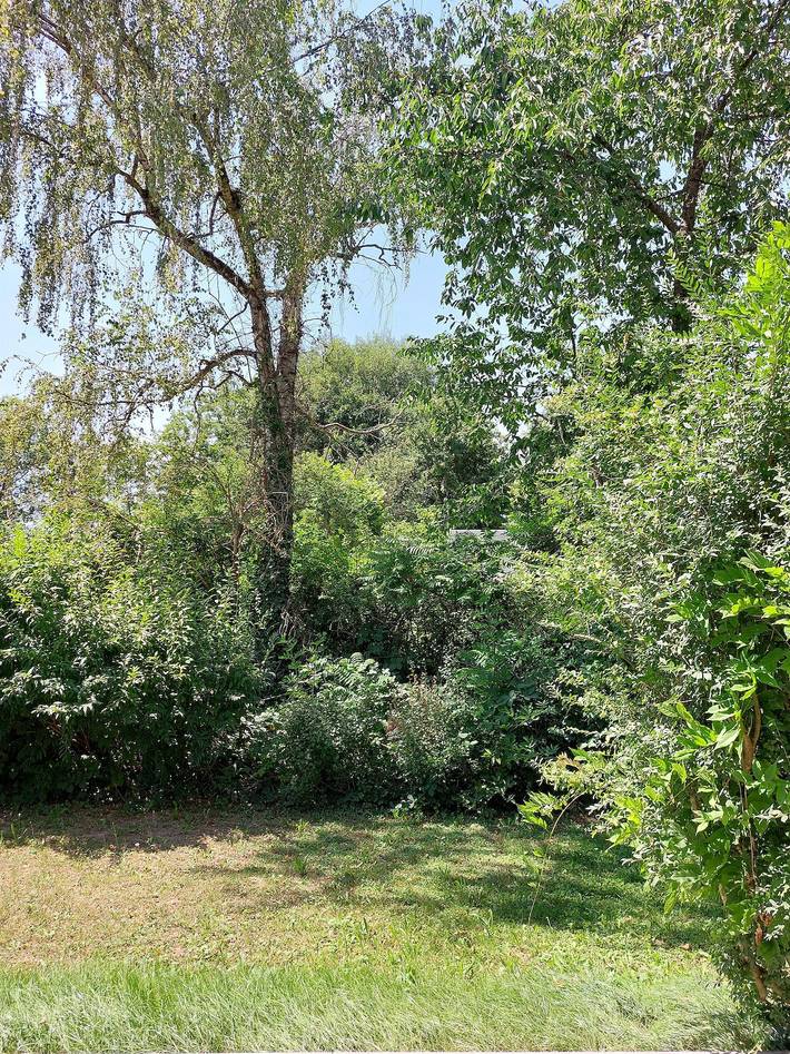 Ferienwohnung für 2 Personen, mit Terrasse und Garten in Kandel - 3