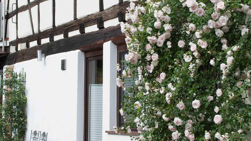 Bauernhof für 2 Personen, mit Balkon in der Pfalz - 4