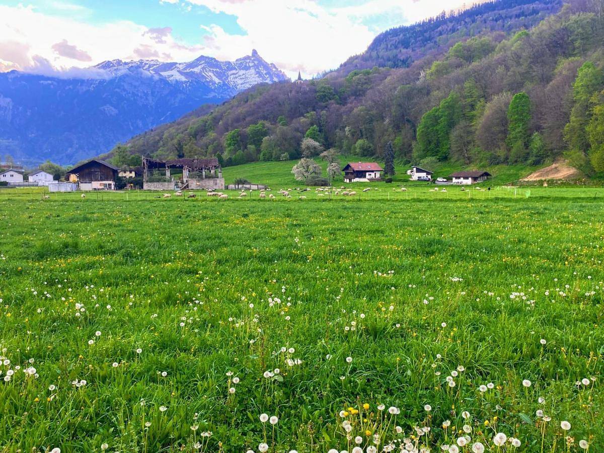 Appartement entier, Mountain View in Monthey 2 Ville, Monthey