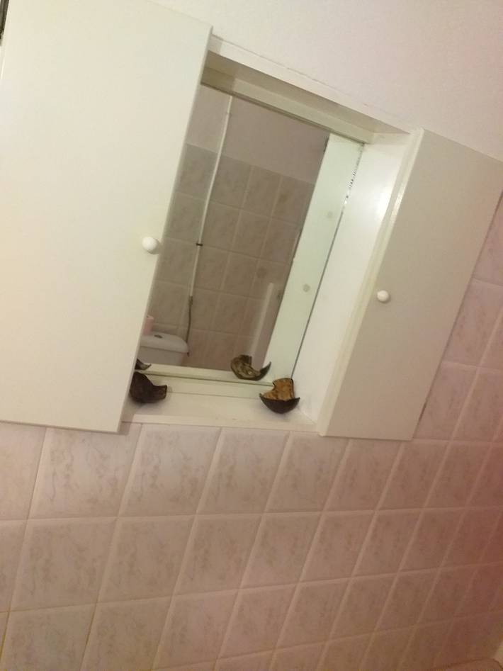 Gîte pour 4 personnes, avec terrasse à Morne-à-l'Eau - 4