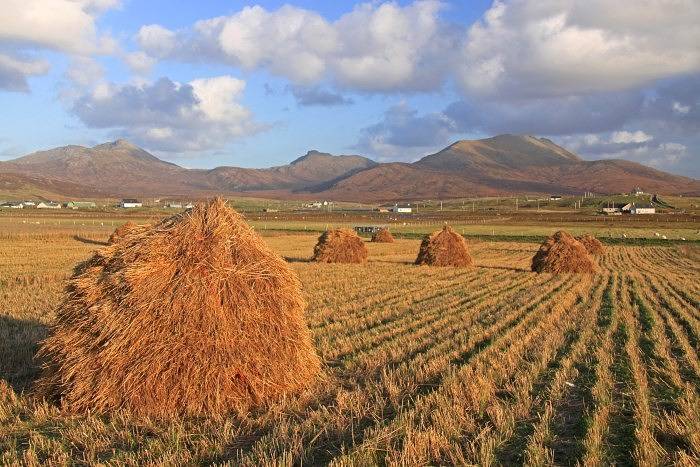 Ferienhaus für 2 Personen, mit Garten, mit Haustier in Schottland - 2