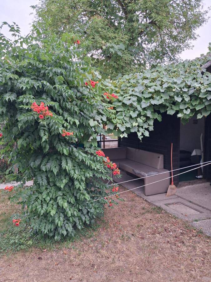 Location de vacances pour 2 personnes, avec vue, animaux acceptés à Ljubljana - 3