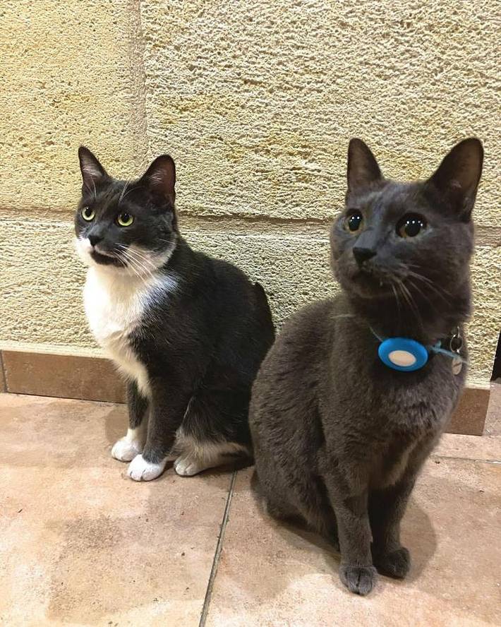 Location de vacances pour 2 personnes, avec terrasse et jardin à Pomerol - 3