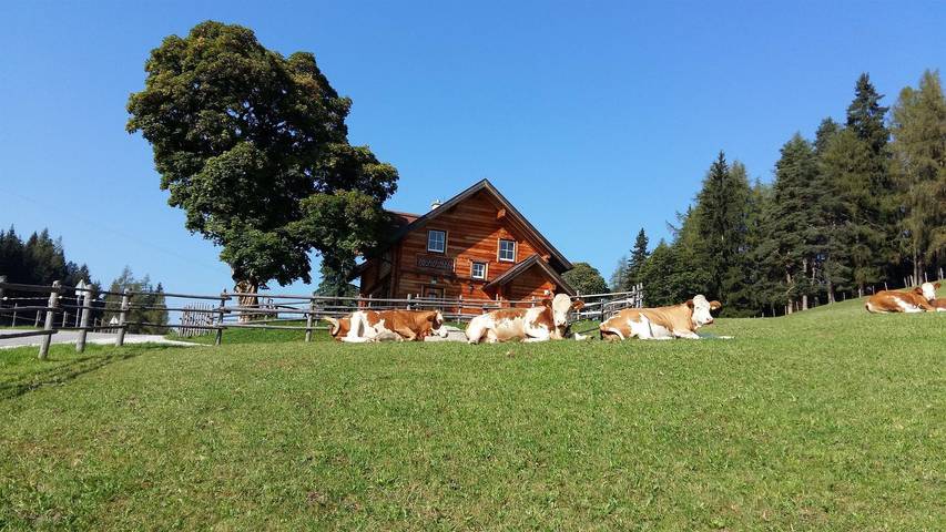 Ferienwohnung für 10 Personen, mit Garten und Sauna - 1