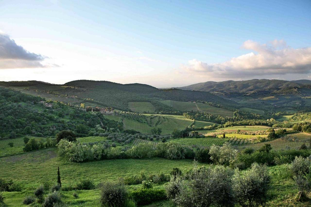 Two-Bedroom Apartment in Panzano In Chianti, Greve In Chianti