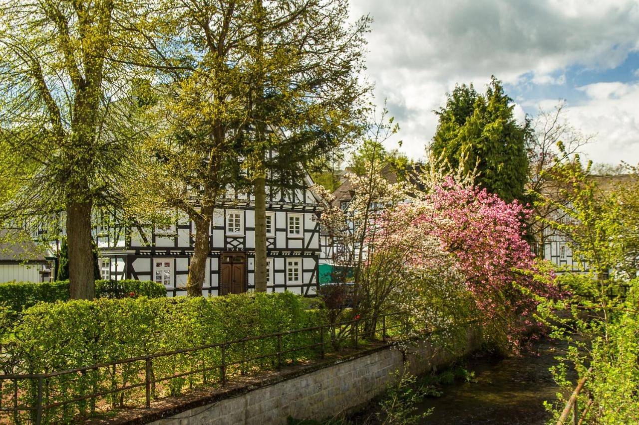 Ganze Wohnung, Feldmann-Schütte in Schmallenberg, Hochsauerlandkreis
