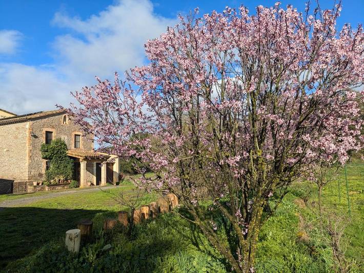 Chalet para 18 personas, con piscina además de jardín y vistas en Bages - 2