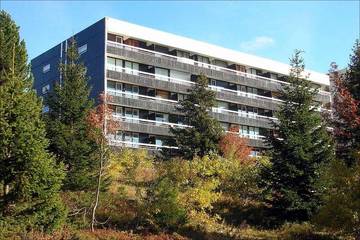 Gîte pour 3 personnes à Chamrousse