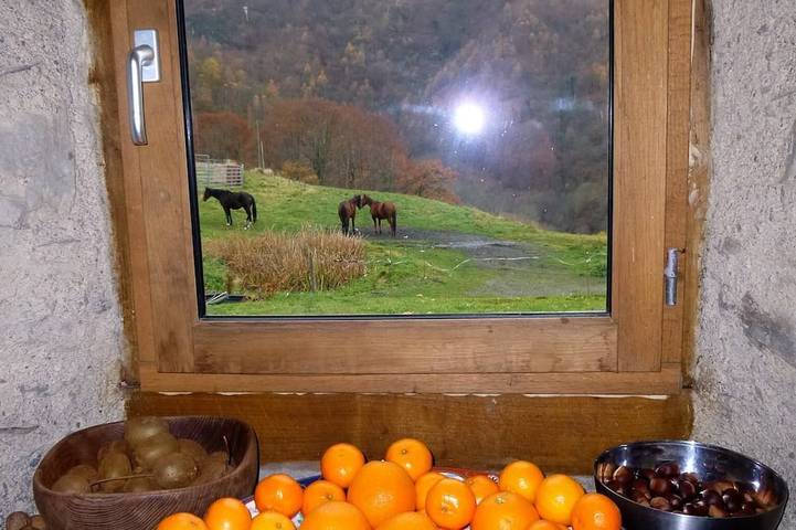 Maison de vacances pour 3 personnes, avec jardin et piscine