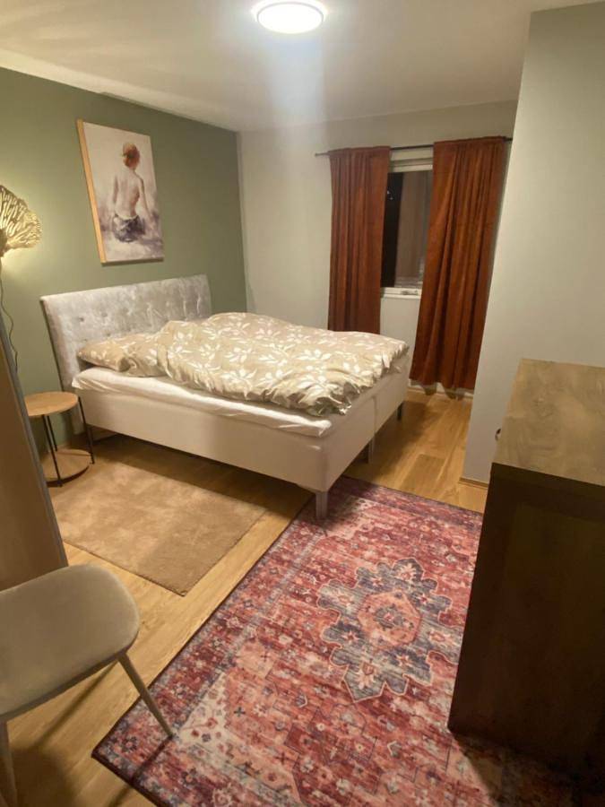 Lovely house on 1 flat with 2 terraces in Hamar