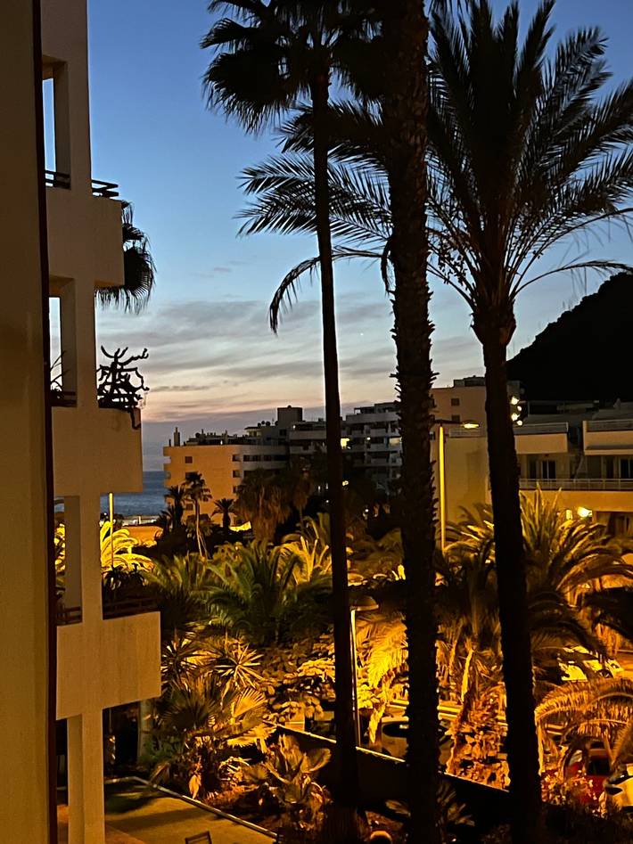 Ganze Wohnung, Ferienwohnung 'Casa Soleil Palm-Mar' – Stilvoll, modern & mit Meerblick in Palm-Mar, Arona