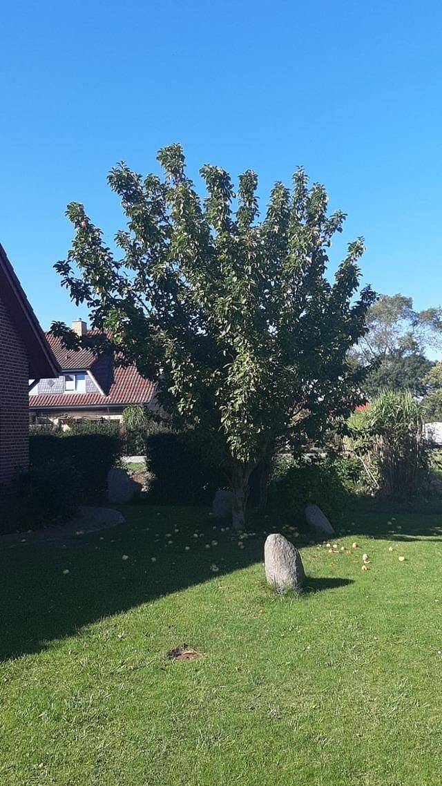 Ferienhaus für 8 Personen, mit Garten und Ausblick in Bisdorf - 3