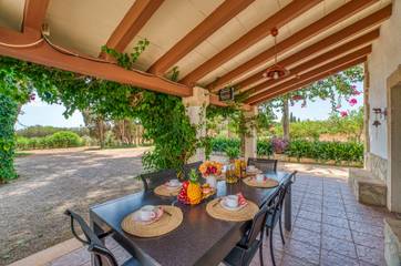 Finca in Sa Pobla, Mallorca Norden für 8 