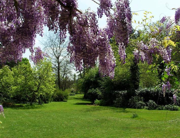 Gîte pour 15 personnes, avec jardin et terrasse, animaux acceptés dans Oise - 4