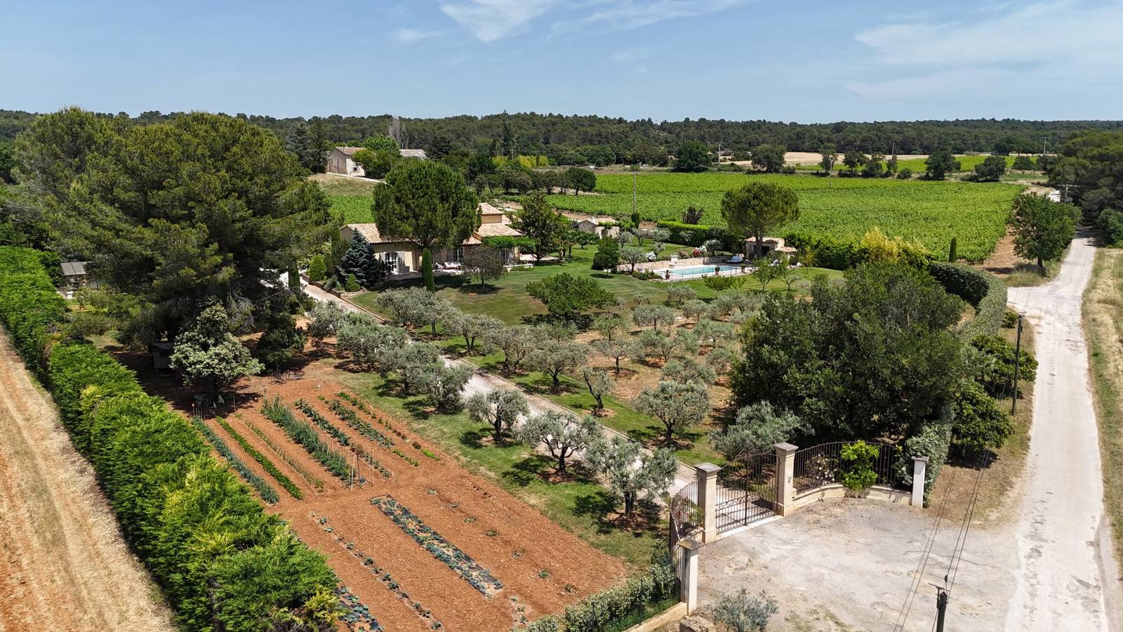 Chambre d'hôtes "les Olivandes" - Chambre in Saint-Cannat, Région d'Aix-en-Provence