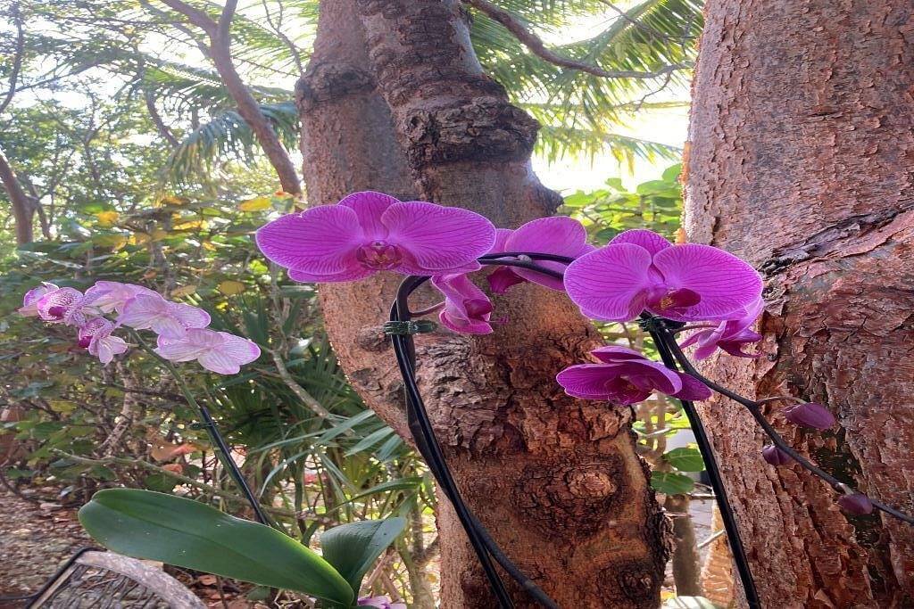 Escape Winter at Gulf side Gem! 45 ft. Dock, pool , hot tub and more in Marathon, Monroe County