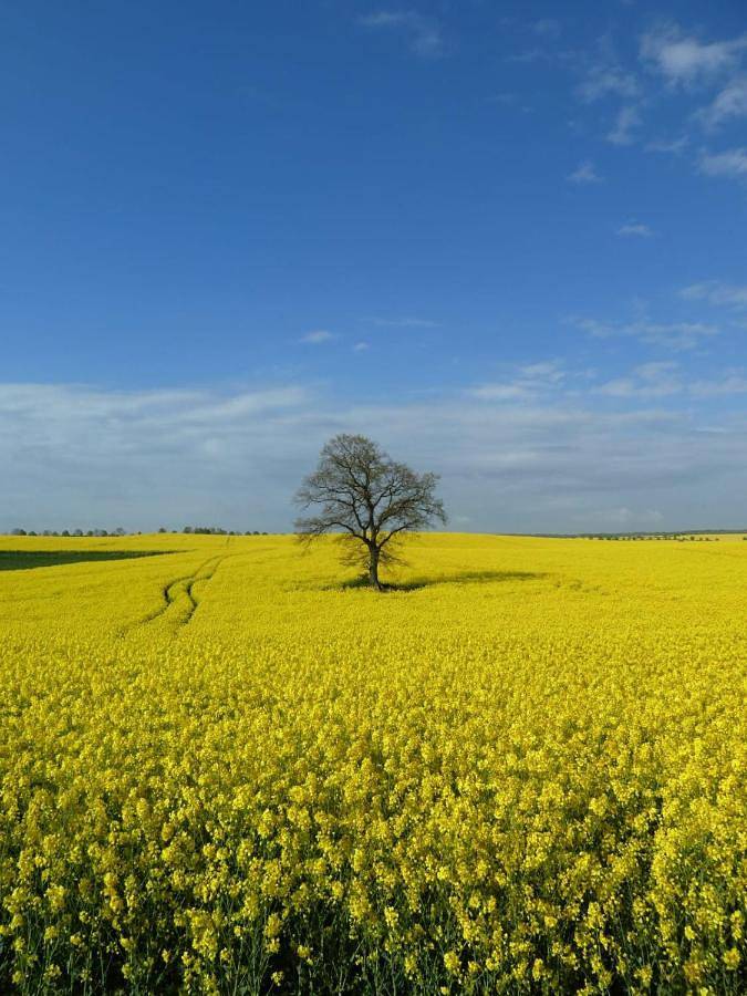 Ferienwohnung für 8 Personen, mit Ausblick und Garten sowie Sauna in Kalkhorst - 3