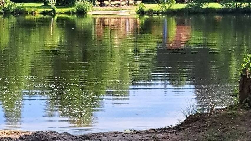 Ferienwohnung für 2 Personen, mit Garten und Terrasse, mit Haustier in Ludwigswinkel
