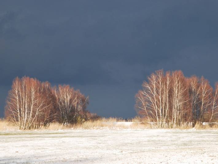 Ferienhaus für 10 Personen, mit Garten und Sauna in Ueckermünde - 3