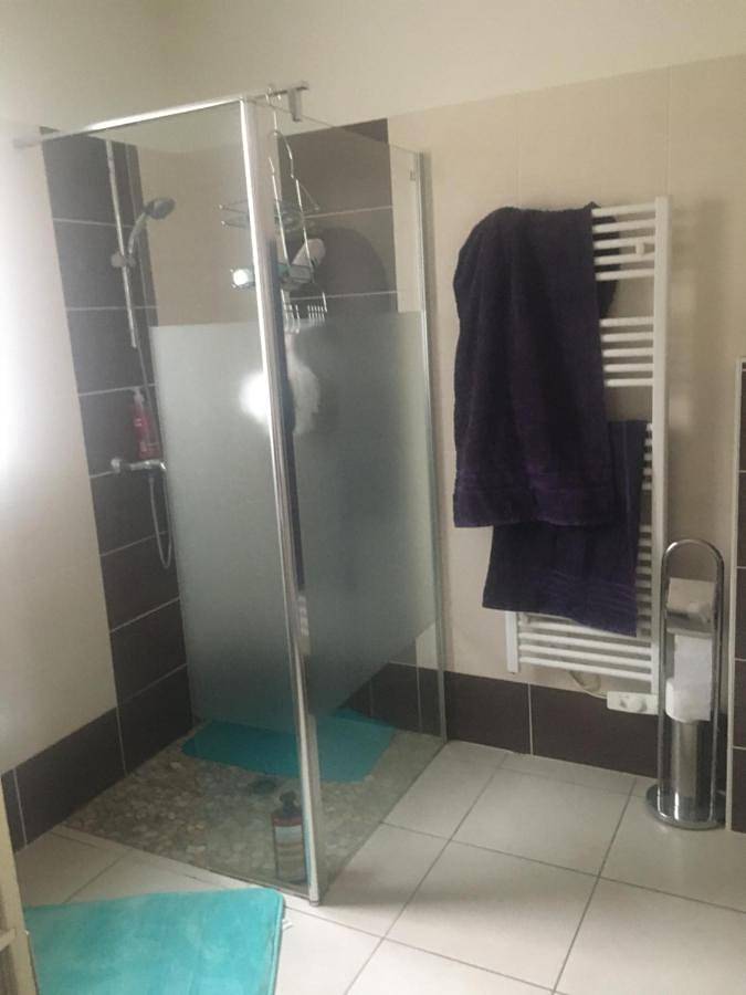 Gîte pour 5 personnes, avec terrasse, animaux acceptés à Lagord - 4