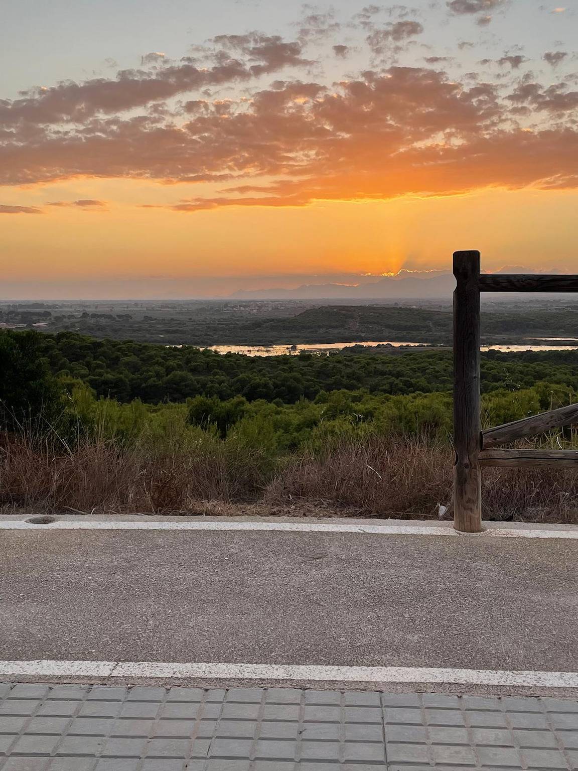 Entire apartment, Holiday apartment for 4 people with terrace in Los Arenales del Sol, Elche