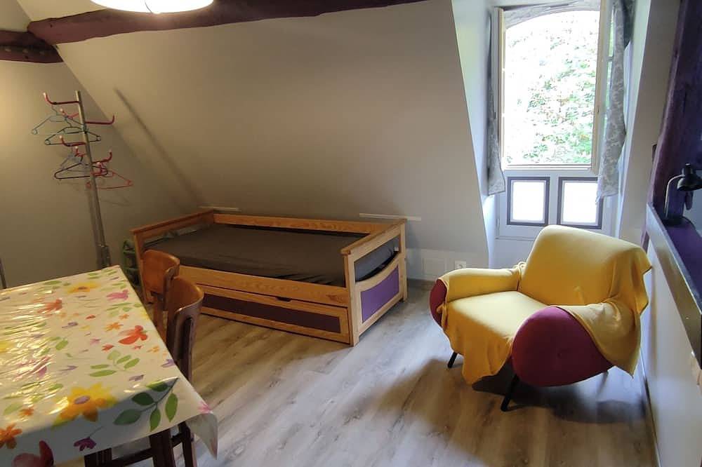 Appartement entier, Loches : mansarde romantique sous un toit du 16ème siècle in Loches, Région de Loches