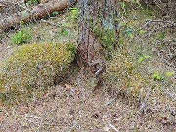 Ferienhaus für 8 Personen in Jegum, Dänemark an der Nordsee, Bild 4