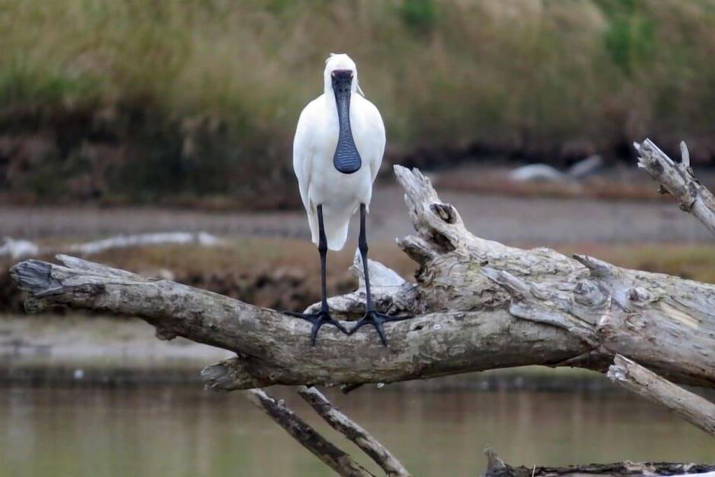 Atemberaubende Küstenansichten in einer filmähnlichen Umgebung in Otago
