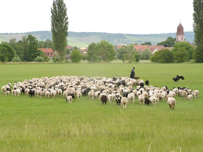 Ferienhaus für 4 Personen, mit Terrasse und Garten im Steigerwald - 2