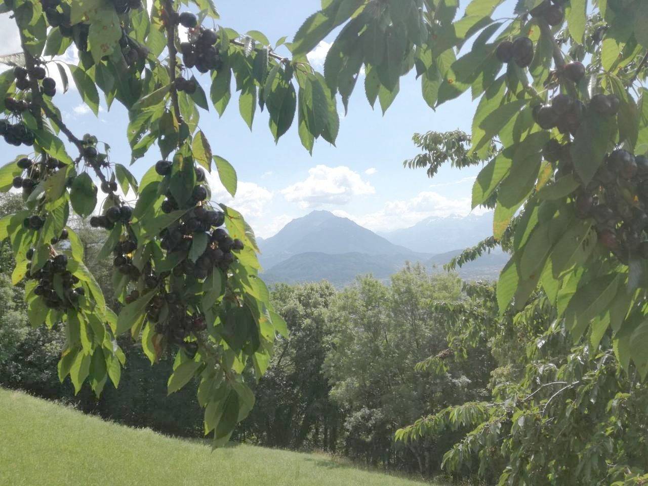 Ganze Wohnung, Ferienwohnung Marte in Viktorsberg, Bezirk Feldkirch