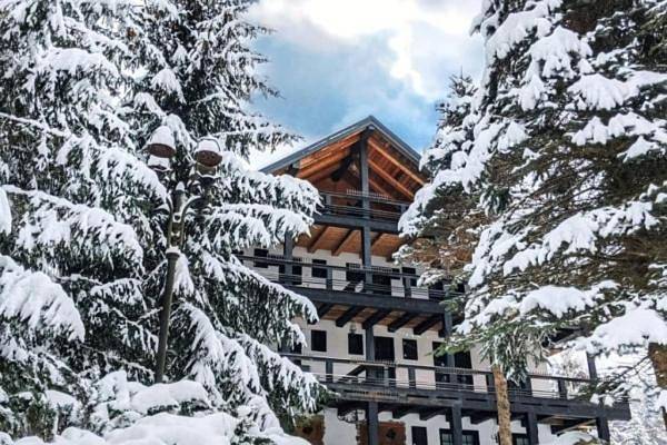 Maison d’hôte pour 2 personnes, avec Balcon et Terrasse ainsi que Jardin et Vue dans Sucevița