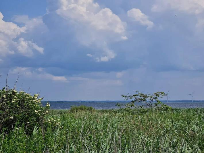 Ferienhaus für 6 Personen, mit Terrasse, kinderfreundlich in Nørhede Vest - 4