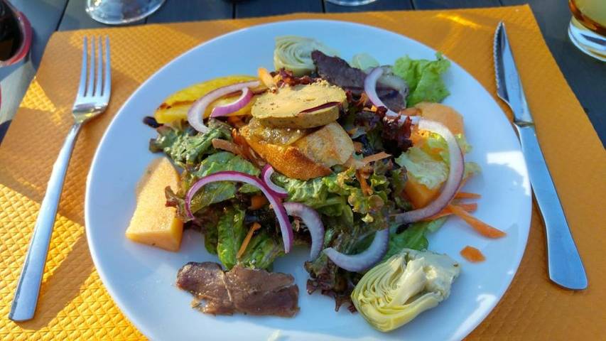 Hôtel pour 3 personnes, avec jardin et piscine, animaux acceptés à Pont-Saint-Esprit - 4