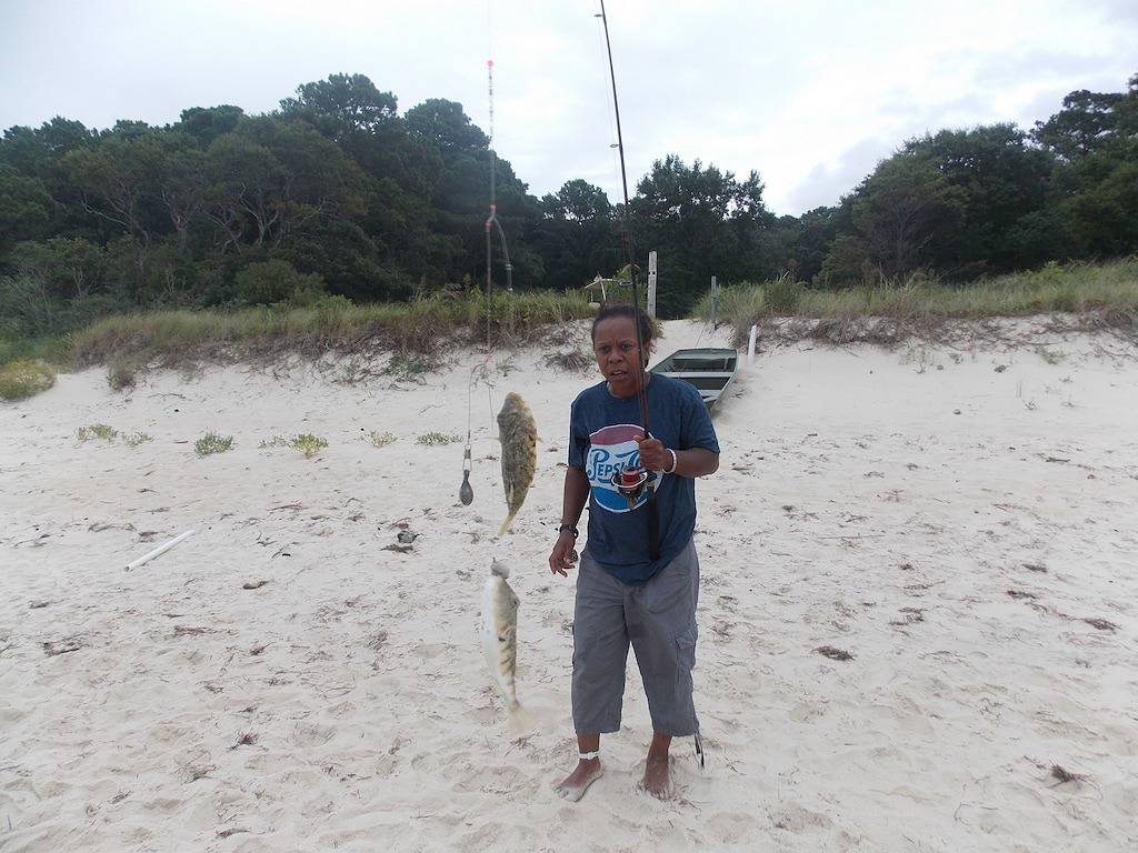 Ganze Wohnung, Dies ist die No Drama Zone, nach der Sie gesucht haben! Kommen Sie, entspannen Sie sich und haben Sie Spaß! in Chesapeake Bay