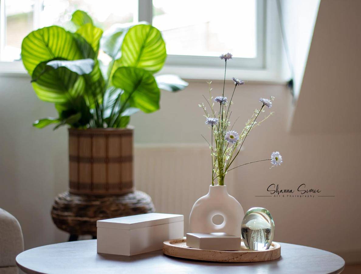 Geheel appartement, Penthouse Apartment in Alkmaar, Nederlandse Noordzeekust