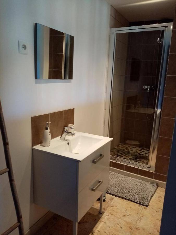 Location de vacances pour 8 personnes, avec Terrasse et Jardin à Paillé - 3