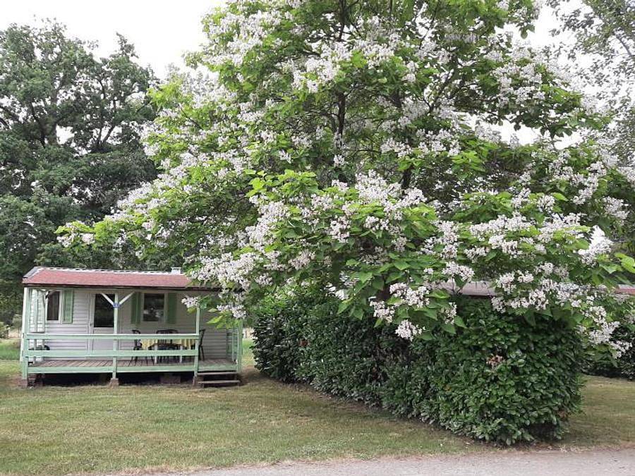 Camping Les Loges - Mobilheim 4 personen - 18 M² in Nonette, Besse-et-Saint-Anastaise und Umgebung