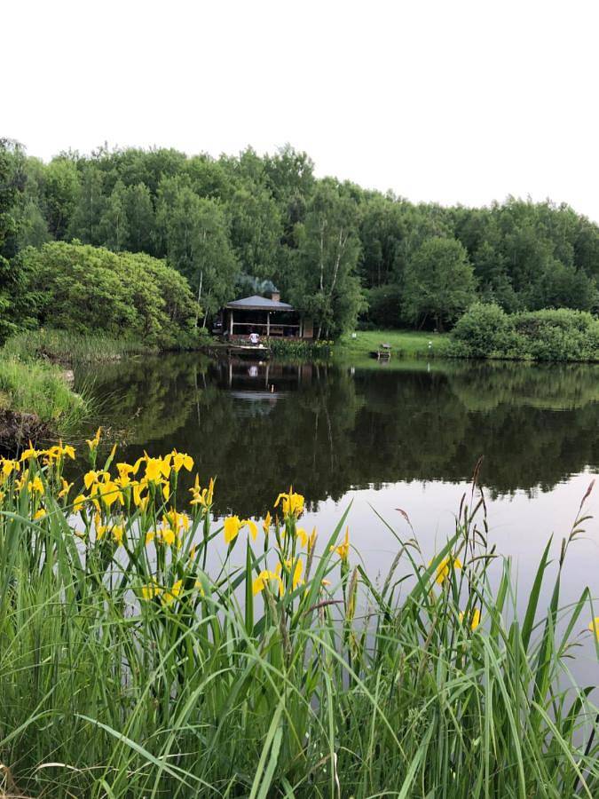 Camping für 6 Personen, mit Terrasse und Garten sowie Sauna und Seeblick in der Ukraine