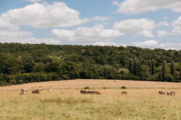 Location de vacances pour 2 personnes, avec terrasse et vue à Lévis-Saint-Nom - 3